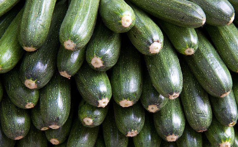 Zucchini bei Gicht