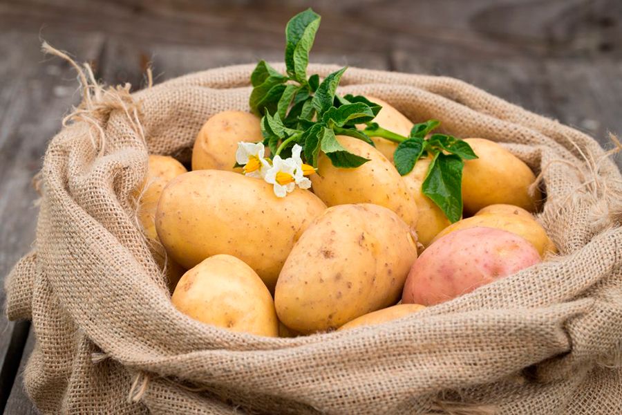 Sind Kartoffeln bei Gicht erlaubt?