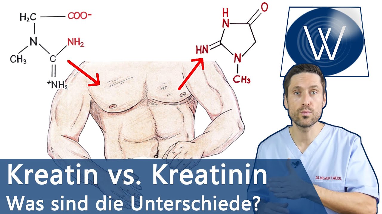 Kreatinin (Cr) und Kreatinin‑Clearance bei Gicht